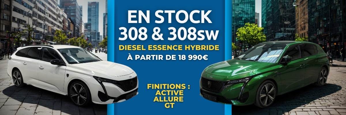 Large choix de 308 chez ORA7 !