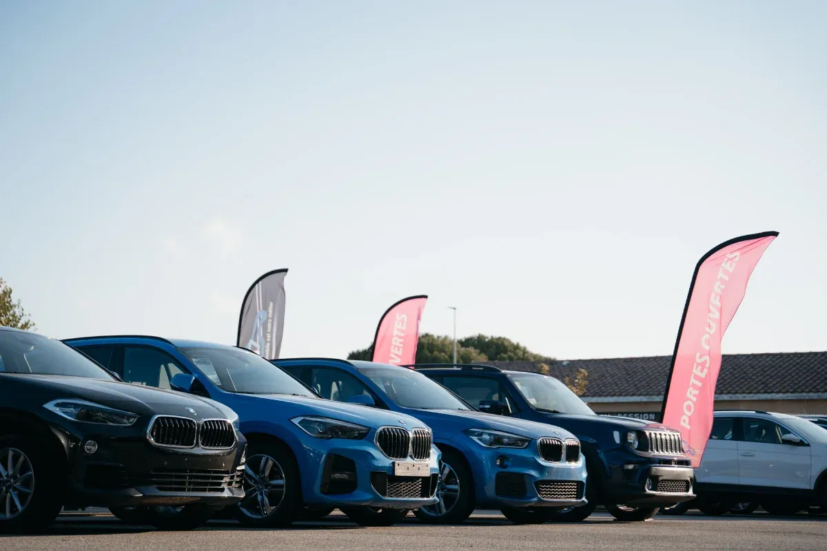 loavehivuleora7 webp